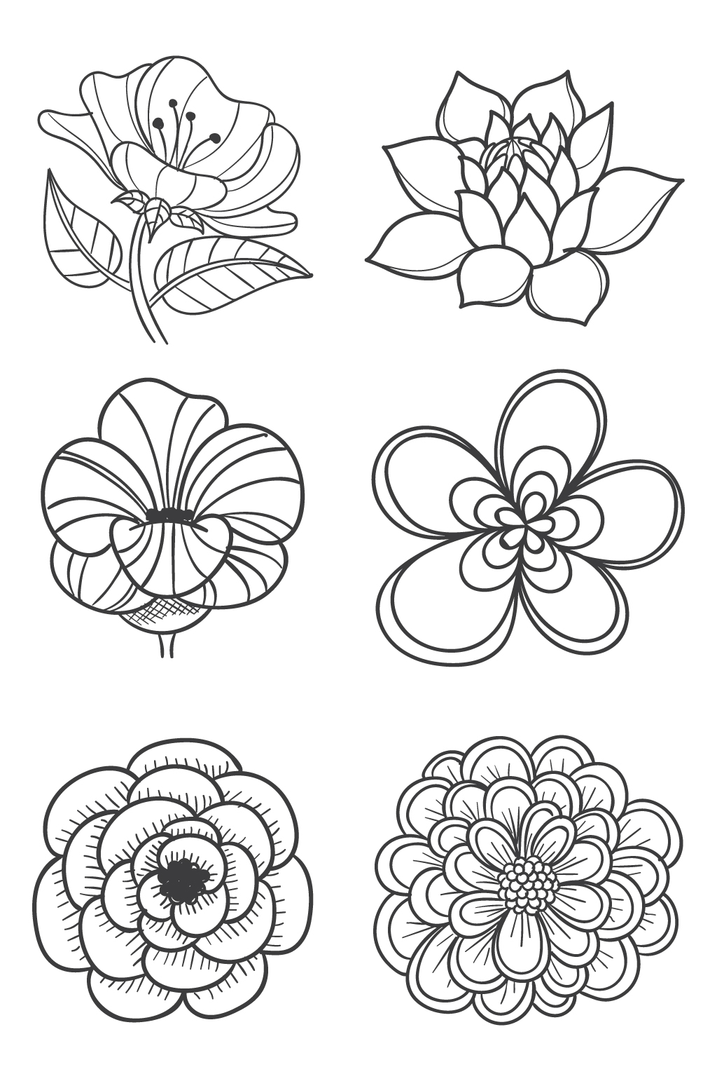 花朵植物图案设计元素