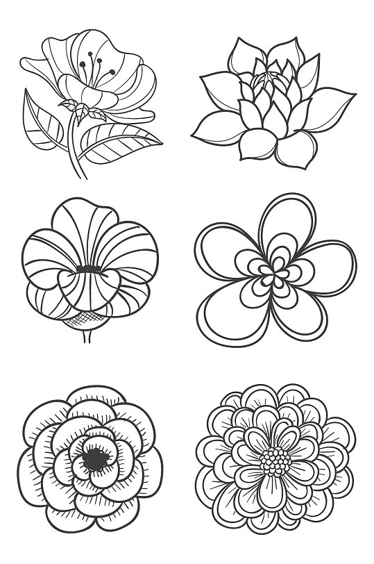 黑白线描月季花拓印花朵立即下载手绘荷花素描图案粉色玫瑰花插画图案