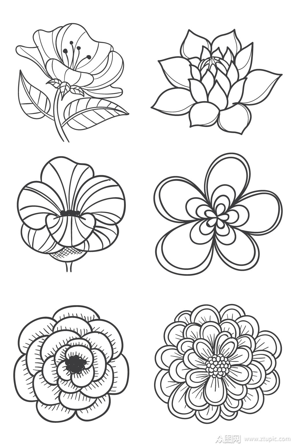 花朵植物图案设计元素