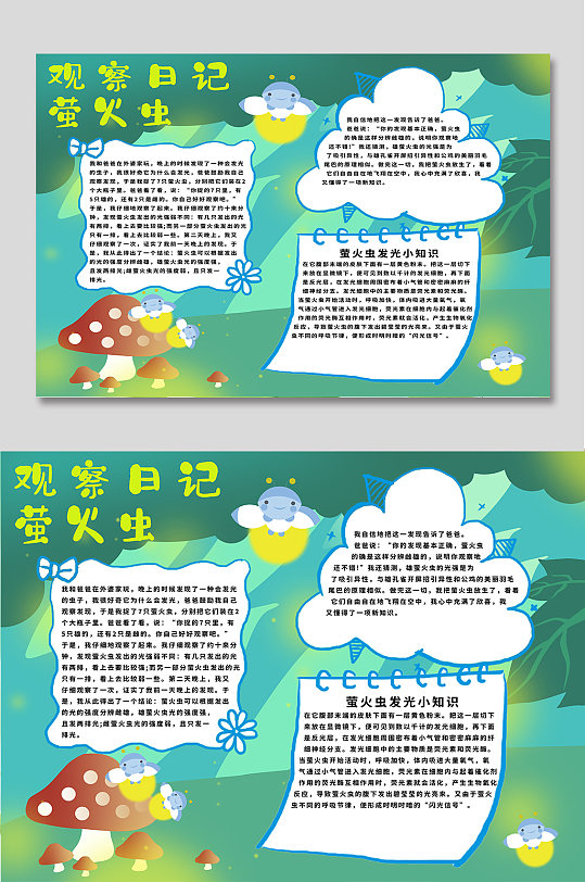 萤火虫观察日记手抄报