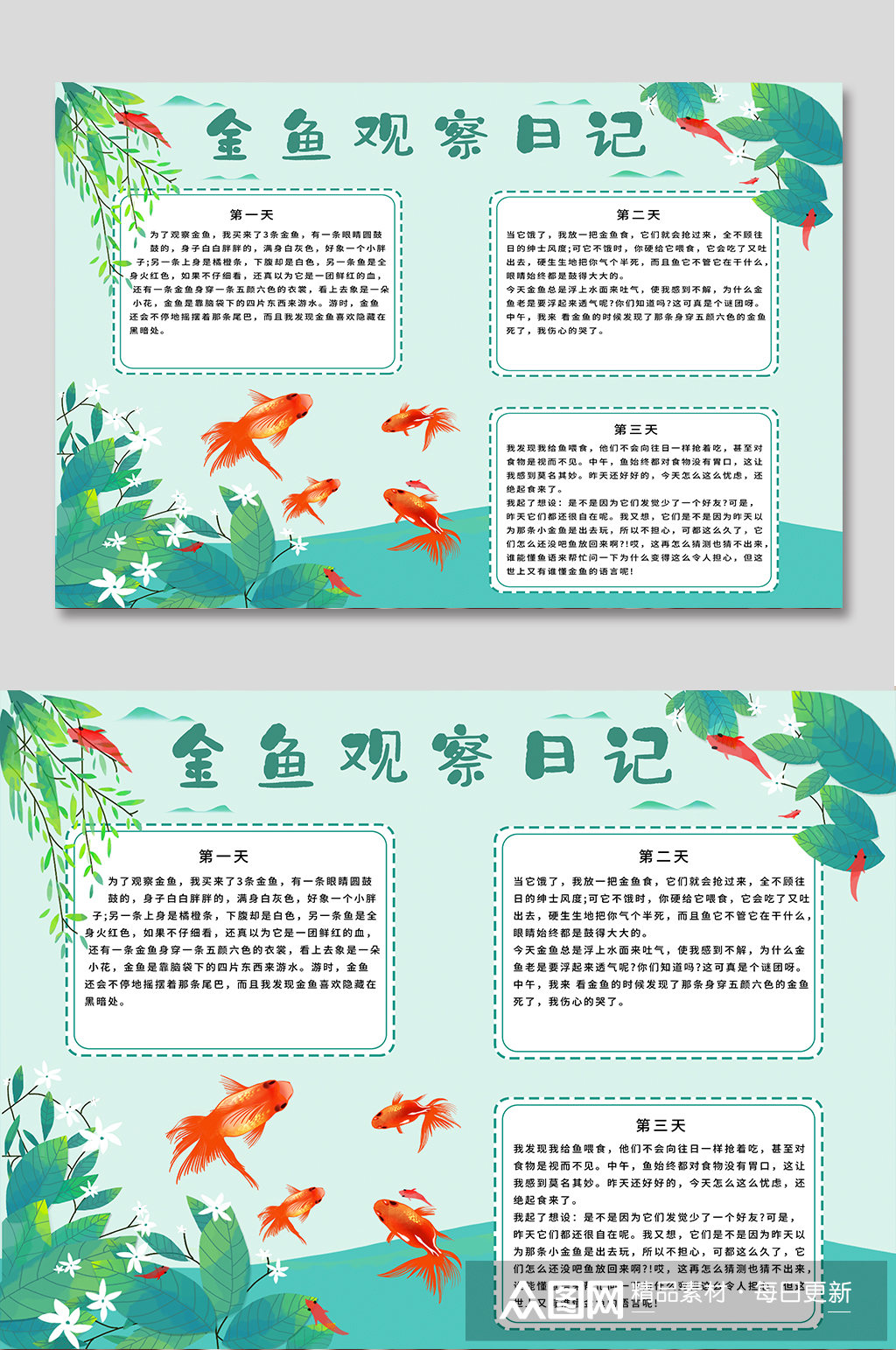 金鱼观察日记手抄报