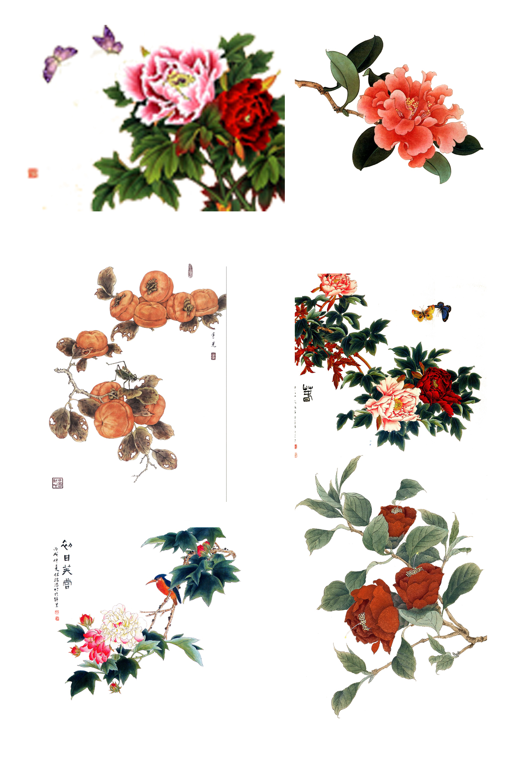 牡丹花工笔画免抠图素材素材