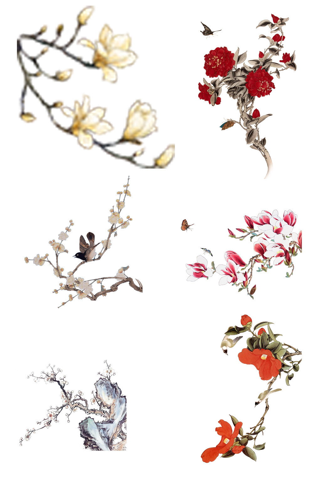 梅花工笔画免抠图素材