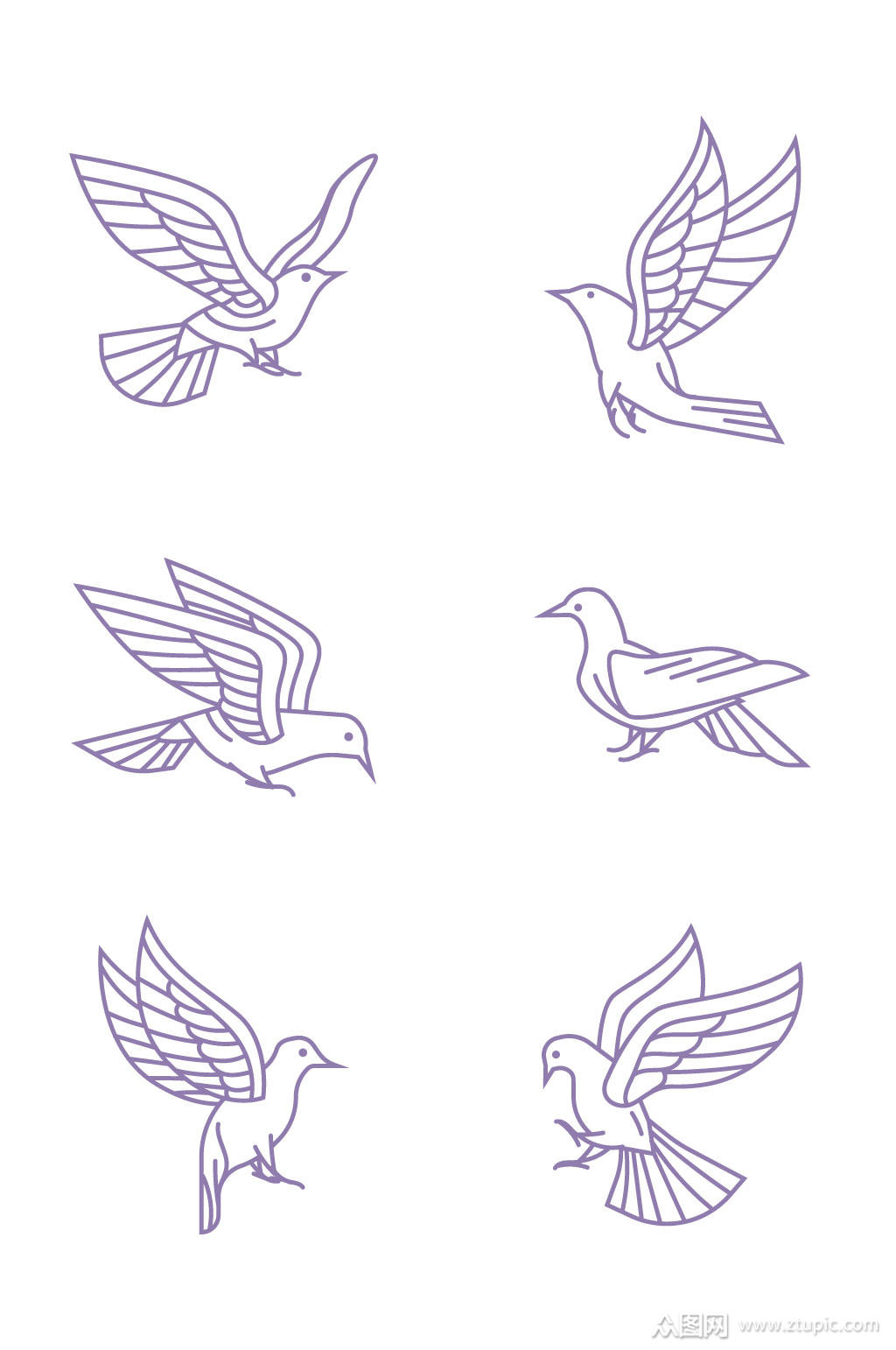 手绘鸽子和平鸽信鸽