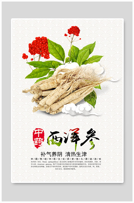 中药西洋参宣传海报