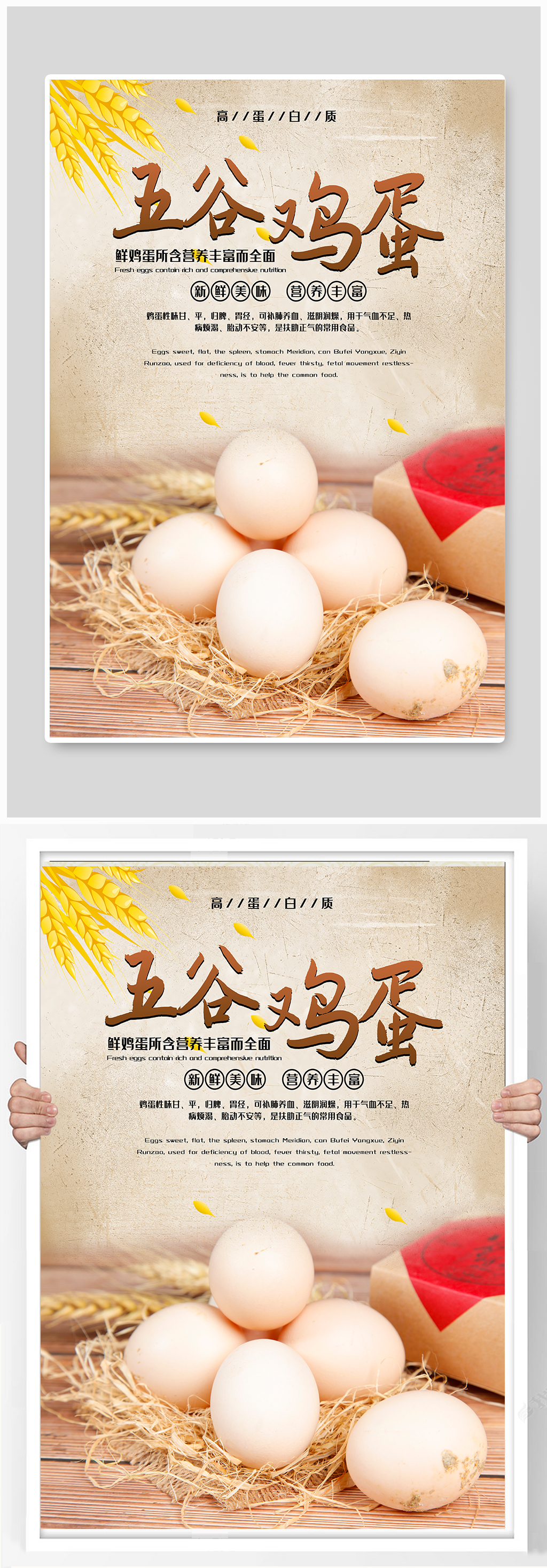 土鸡蛋海报素材免费下载,本作品是由xiaopeng001上传的原创平面广告