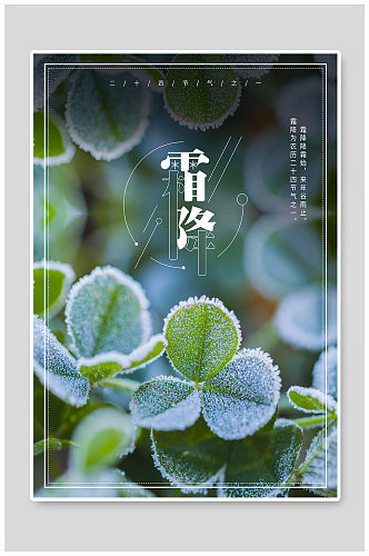 霜降中国传统节气24节气宣传海报