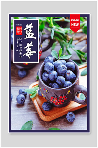 清新蓝莓水果促销宣传海报