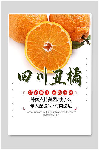 四川丑橘耙耙柑应季水果宣传海报