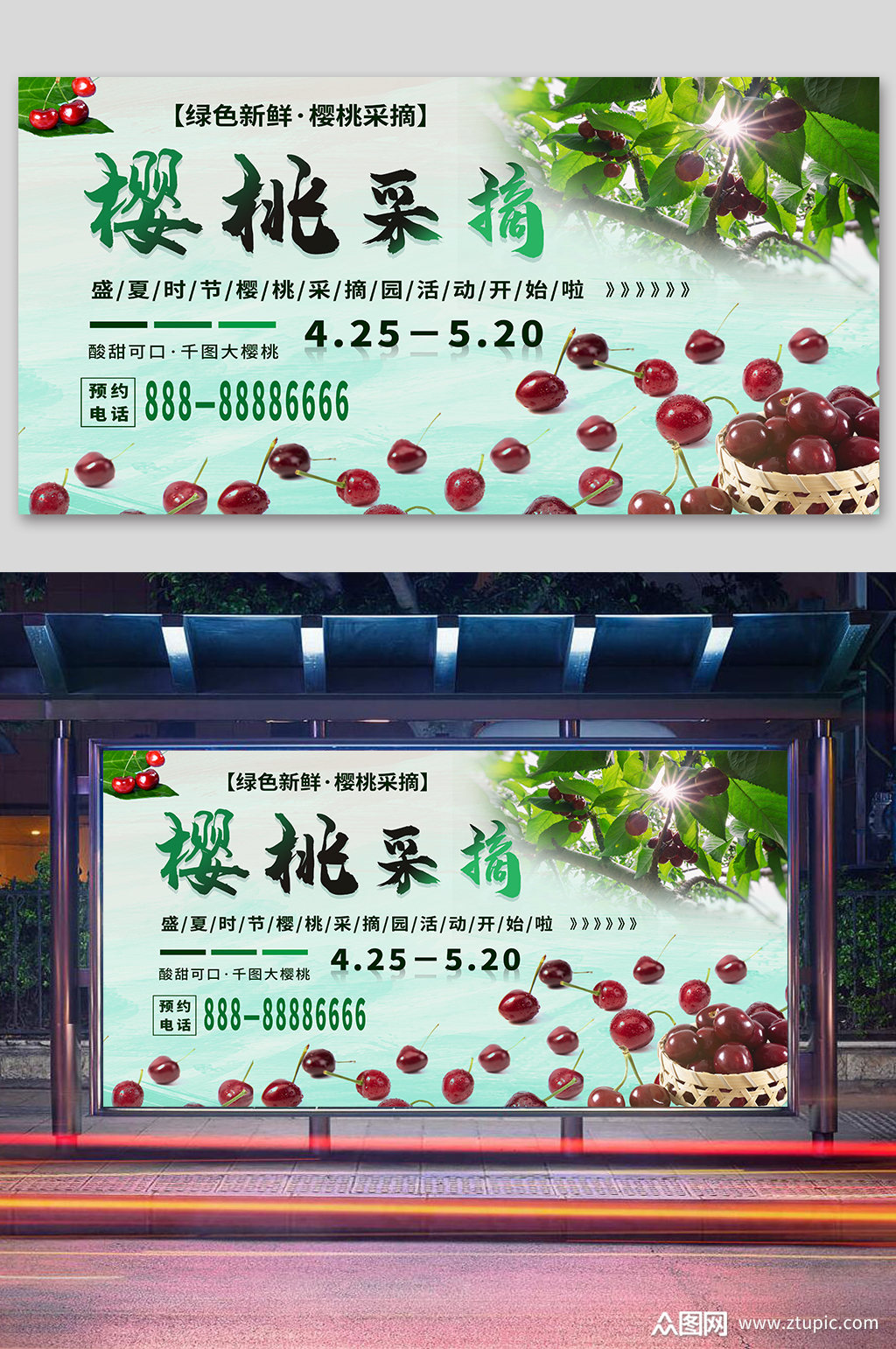 清新绿色樱桃采摘海报素材