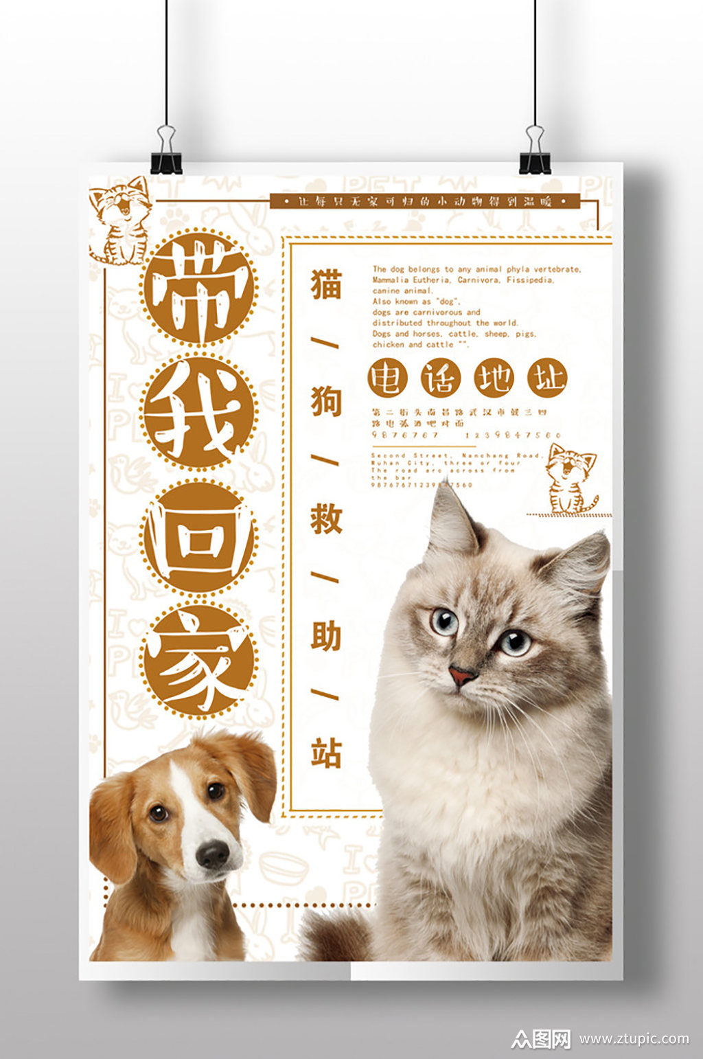 宠物店宠物猫萌宠宠物海报