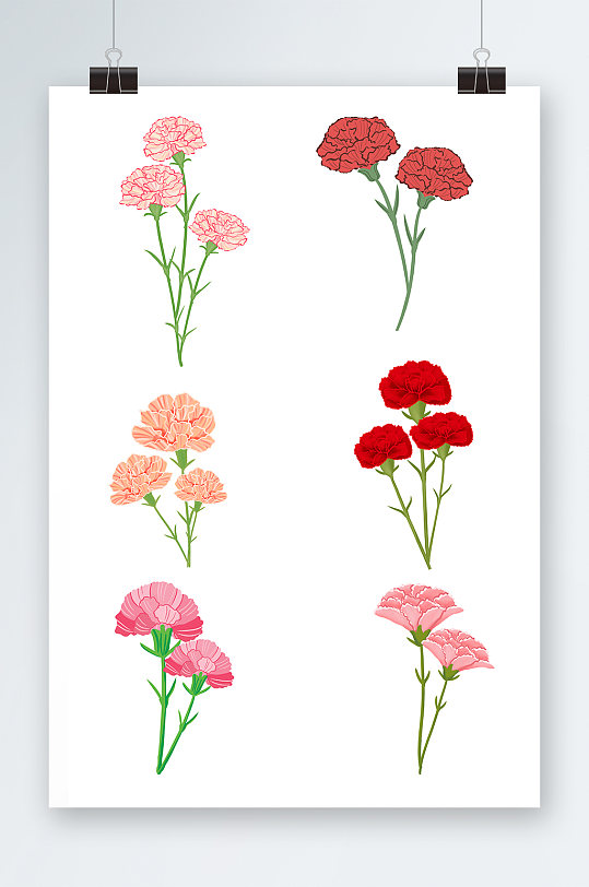 粉色红色康乃馨鲜花花卉元素插画