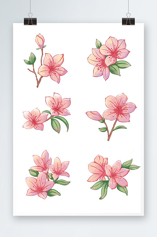 唯美杜鹃花花卉元素插画-众图网