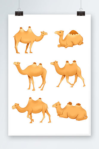 沙漠手绘骆驼动物元素插画