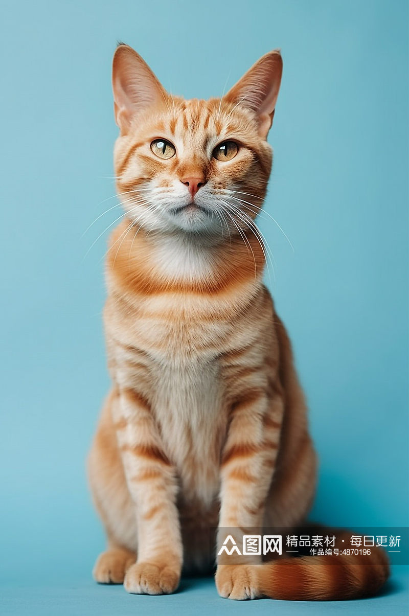 AI数字艺术孟加拉豹猫真实动物宠物猫摄影图素材