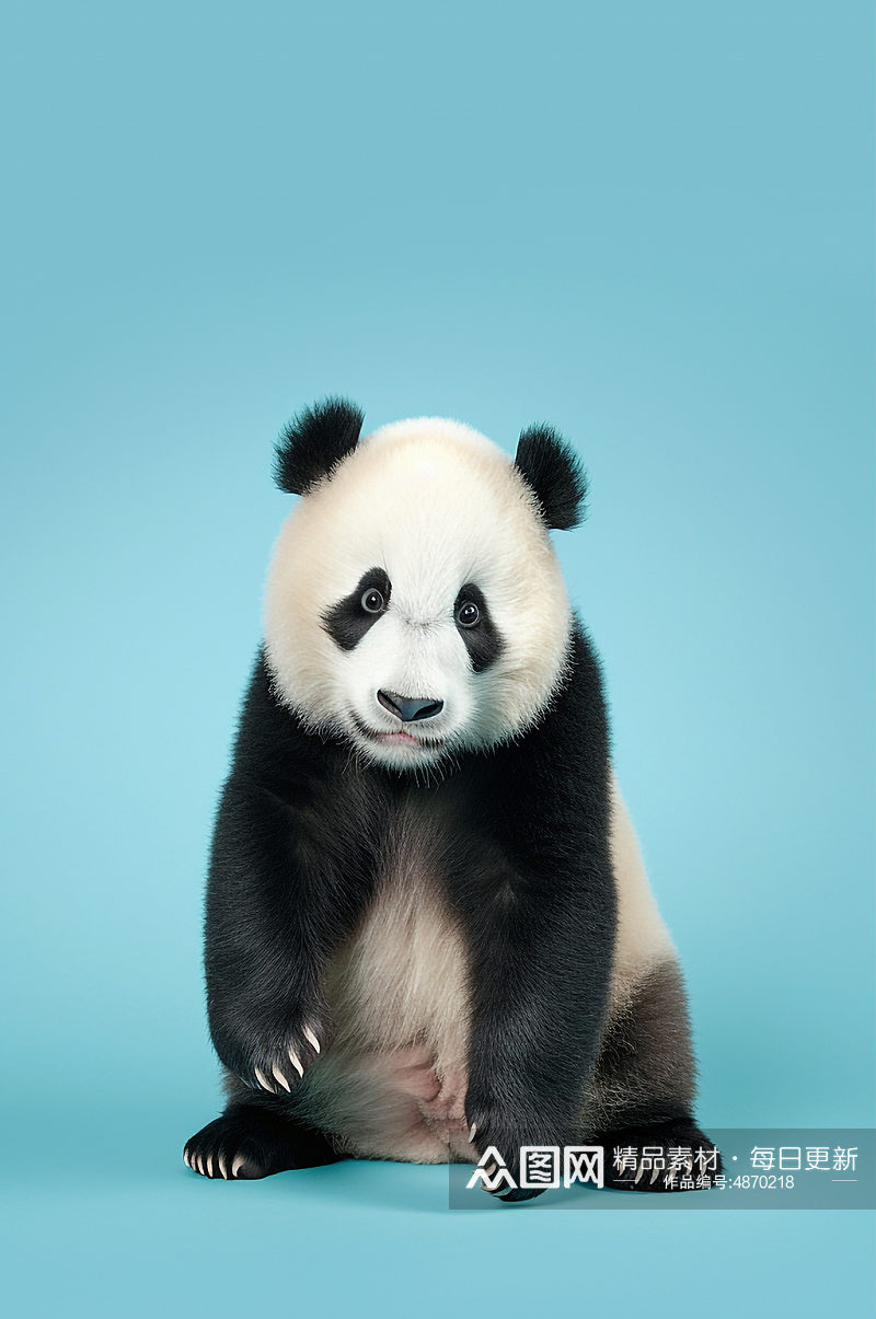 AI数字艺术熊猫国宝国家保护动物摄影图素材