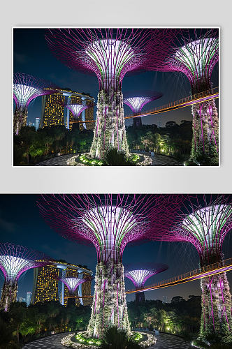 AI数字艺术新加坡滨海湾花园景点摄影图