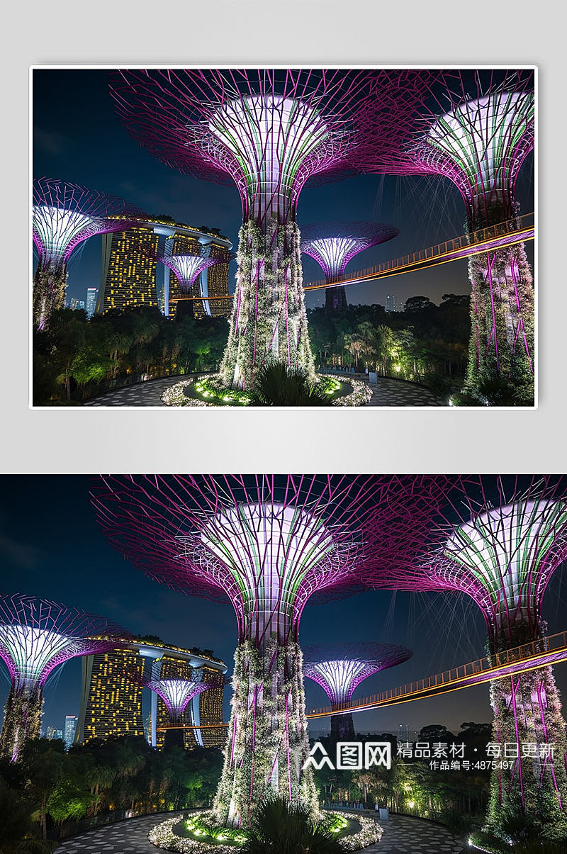AI数字艺术新加坡滨海湾花园景点摄影图素材