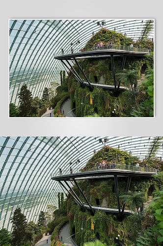AI数字艺术新加坡滨海湾花园景点摄影图