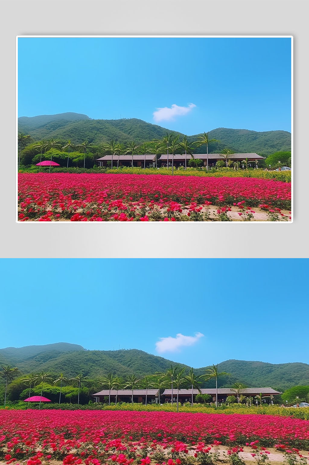 AI数字艺术玫瑰谷海南旅游景点摄影图片素材