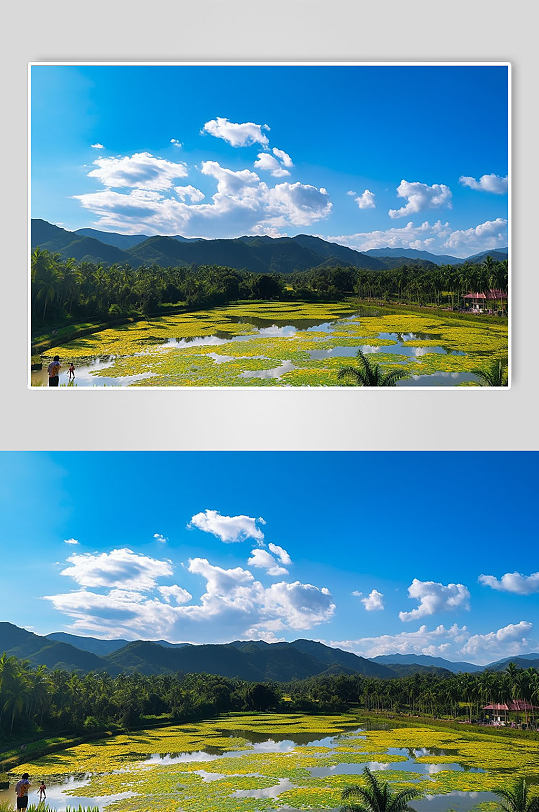 AI数字艺术云南西双版纳旅游山水景点摄影图片