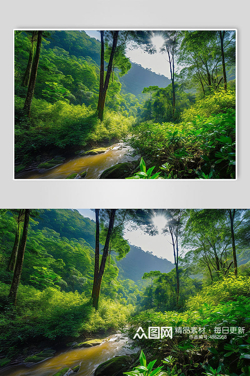 AI数字艺术云南热带雨林旅游景点山水摄影图片素材