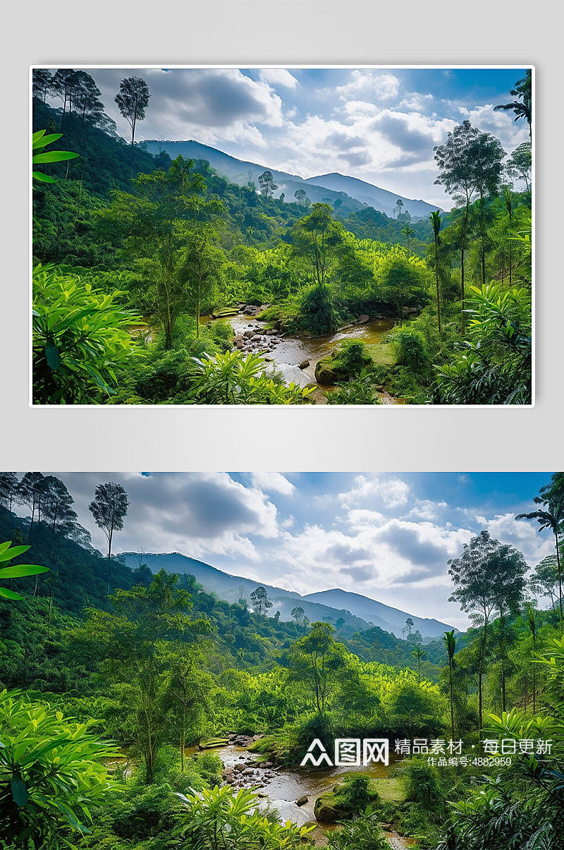 AI数字艺术云南热带雨林旅游景点山水山水摄影图片素材