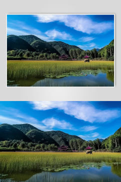 AI数字艺术云南野象谷旅游景点山水山水摄影图片