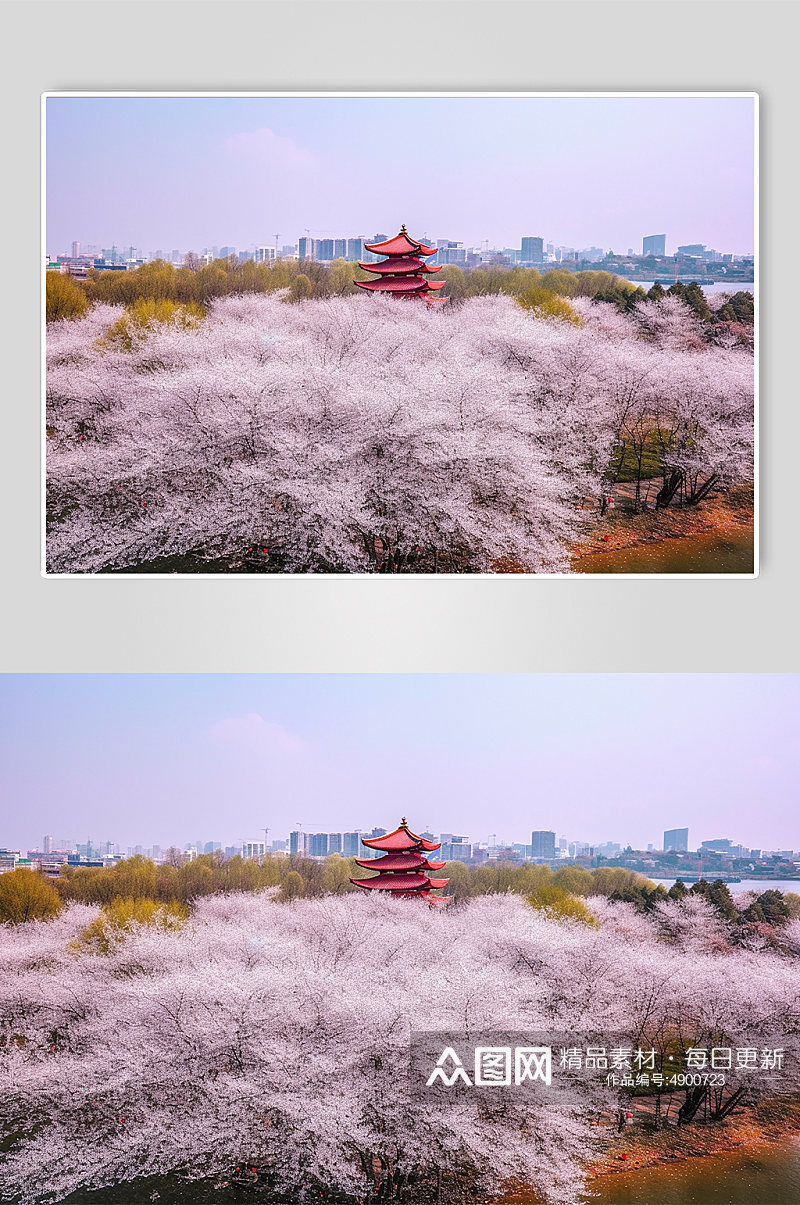 AI数字艺术国内城市武汉景点摄影图片素材