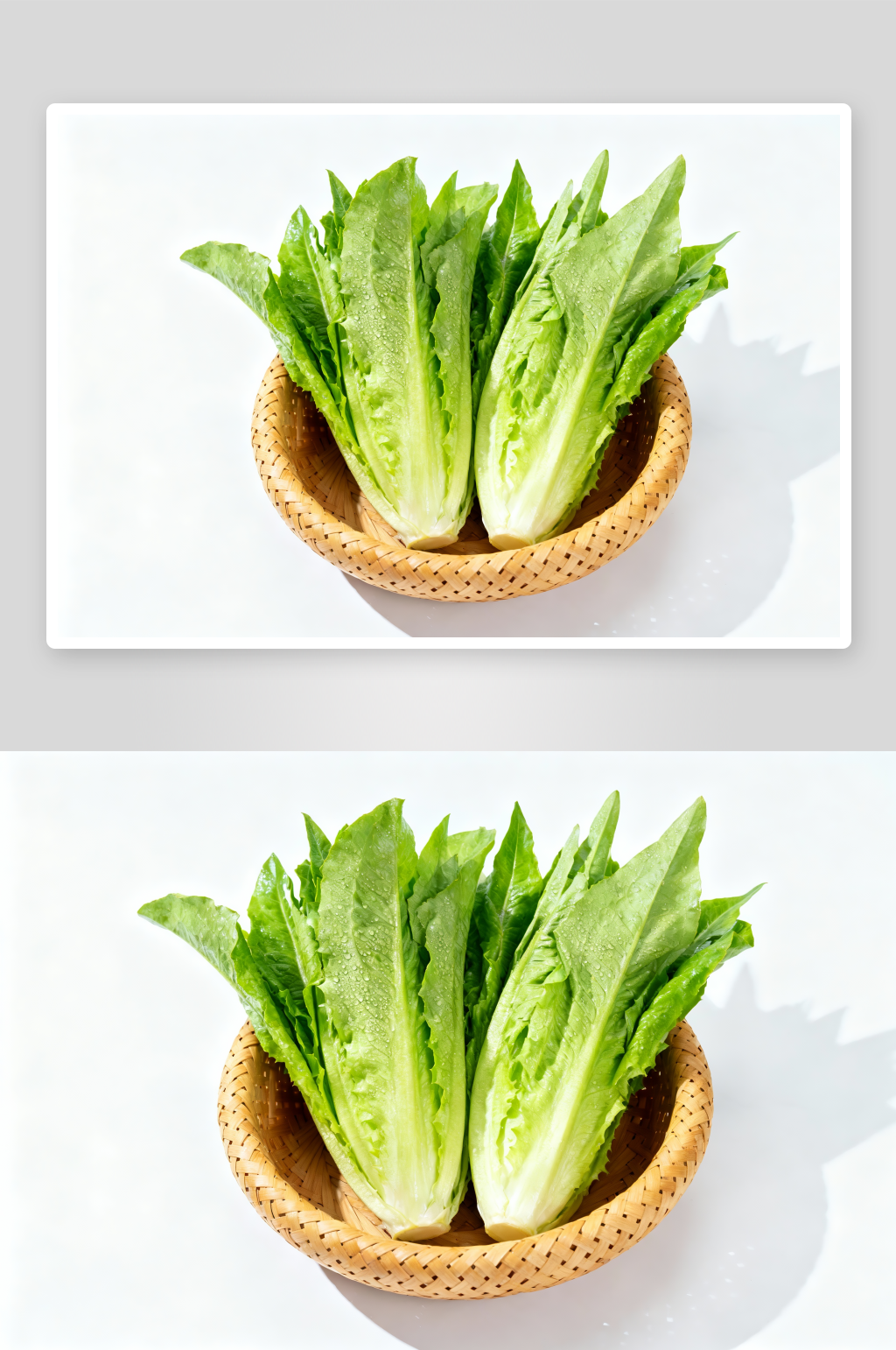 新鲜蔬菜油麦菜青菜蔬菜摄影图素材