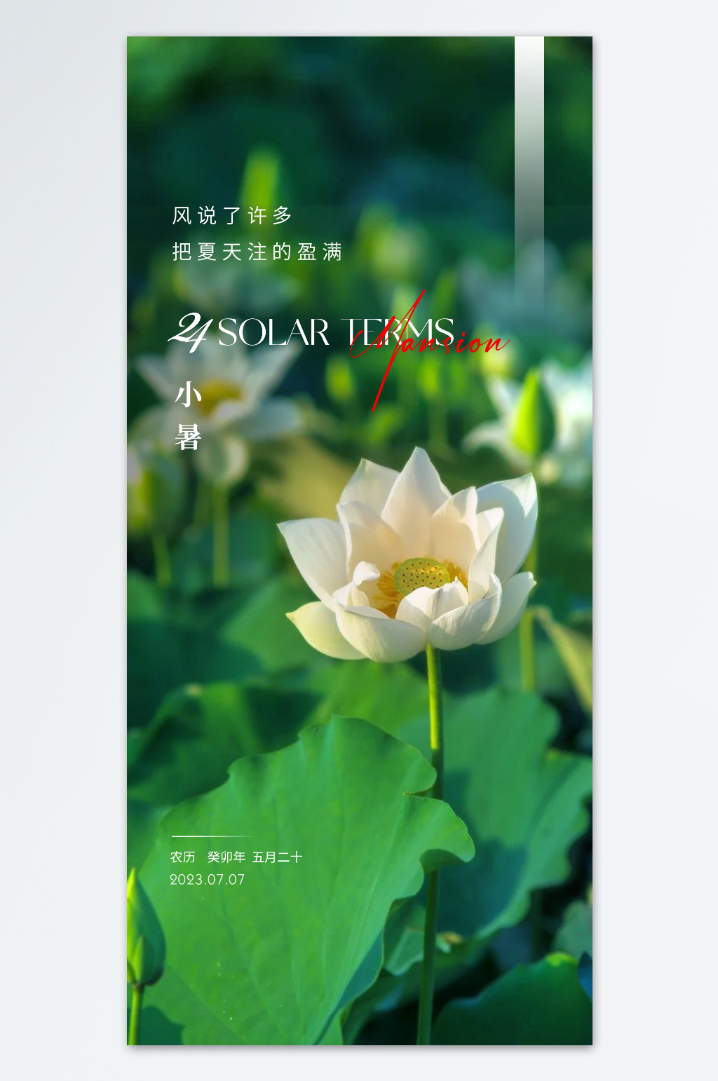 绿色小暑简约海报素材