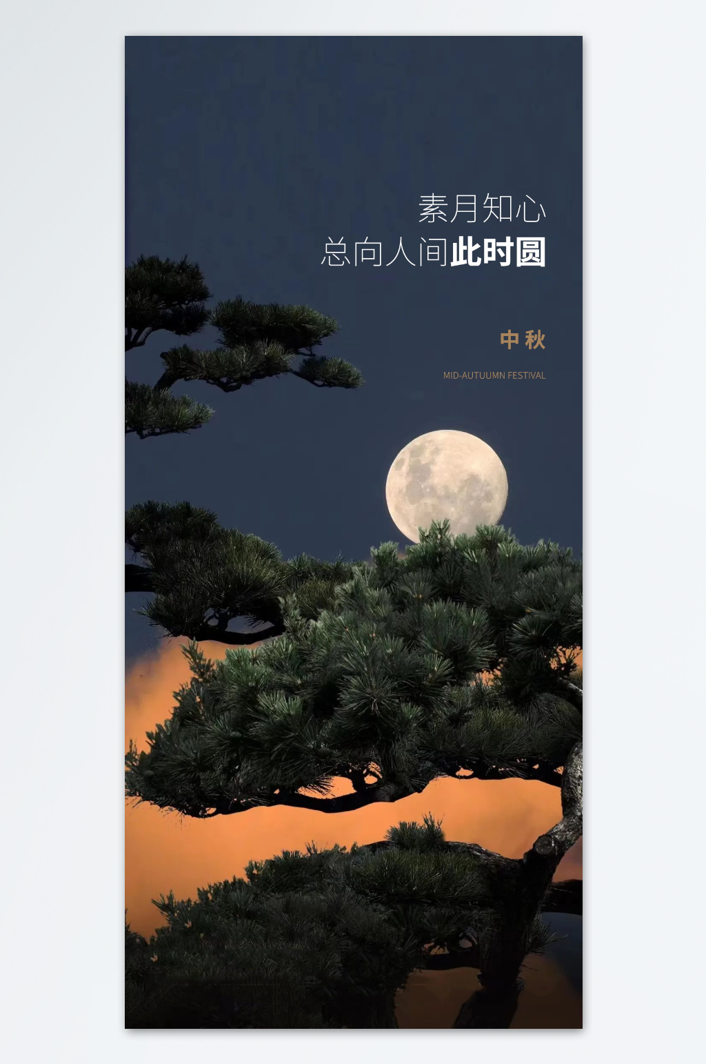 简约中秋节节日海报素材