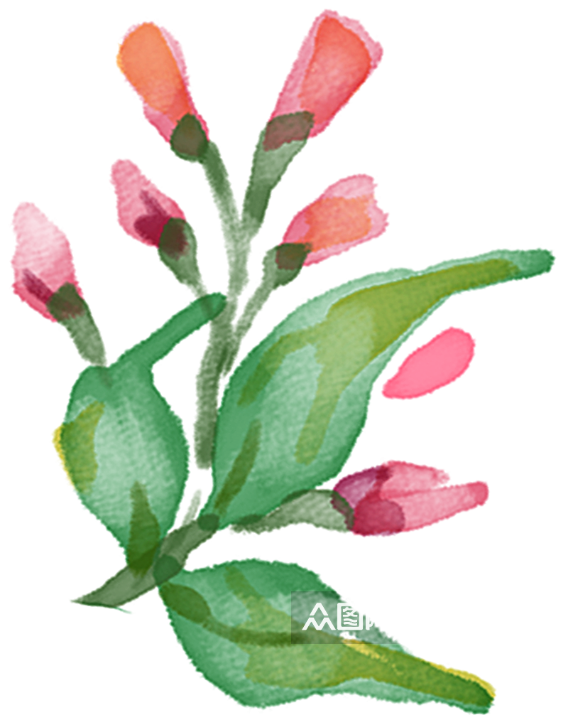 手绘水彩植物花元素素材
