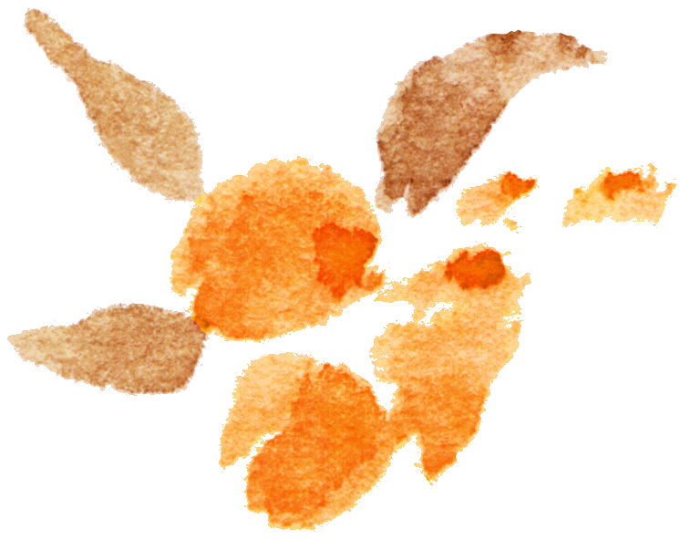 手绘水彩花环花卉叶子羽毛素材