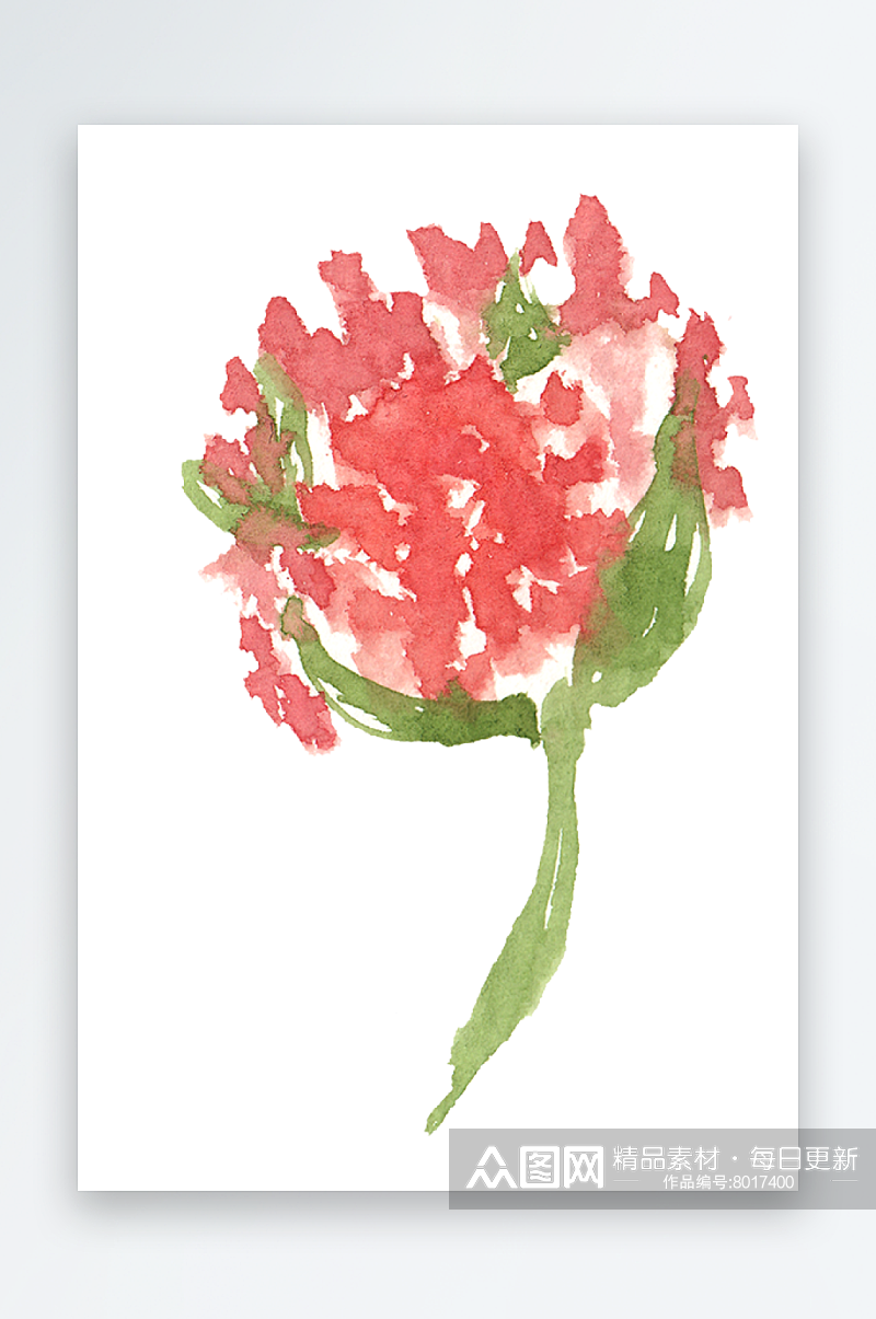 手绘插画水彩植物鲜花花卉素材