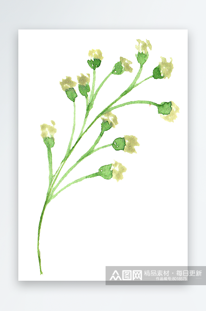 森系唯美水彩手绘植物花卉插画素材