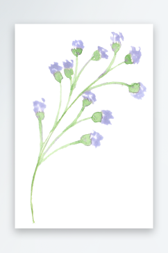 森系唯美水彩手绘植物花卉插画