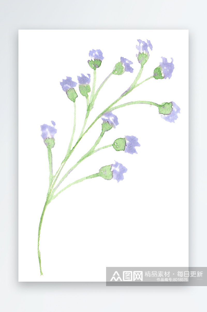 森系唯美水彩手绘植物花卉插画素材