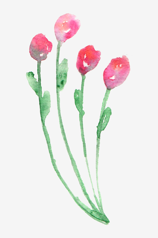 唯美植物花卉水彩森系手绘插画