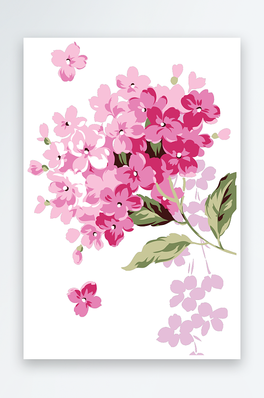 手绘红色丁香花插画-众图网
