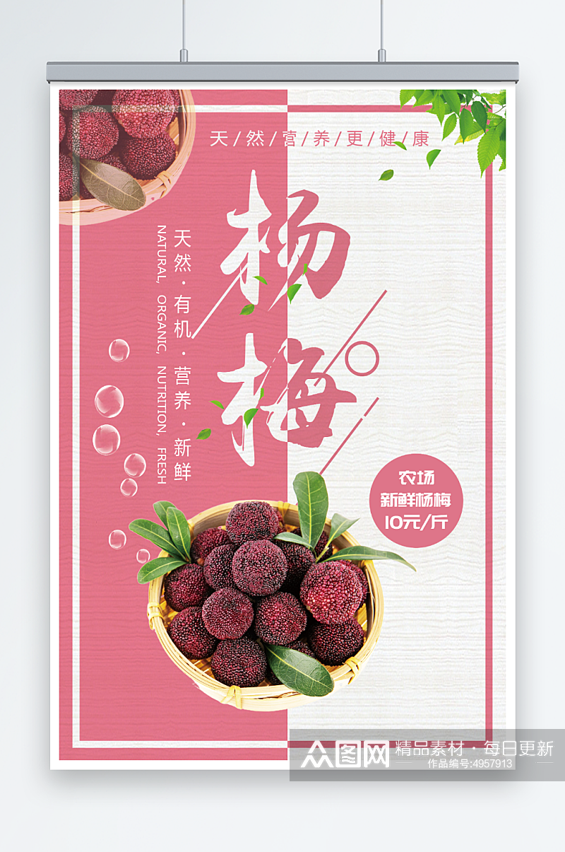 天然有机新鲜杨梅夏季水果果园促销海报素材