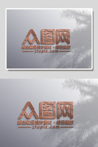 白色背景纯铜LOGO提案样机