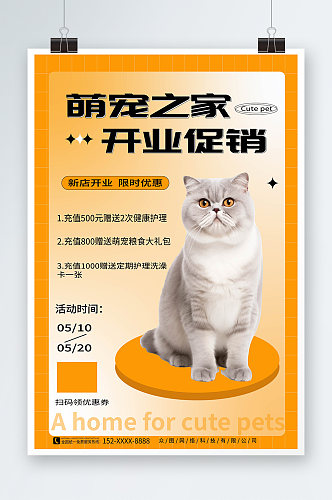 宠物用品开业会员充值促销宣传海报