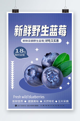 新鲜野生蓝莓宣传海报