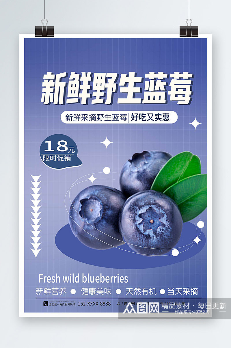 新鲜野生蓝莓宣传海报素材