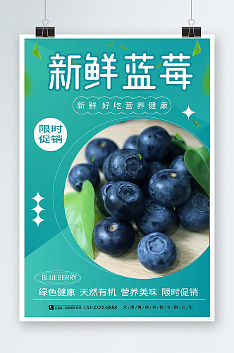 天然有机新鲜蓝莓水果店宣传海报