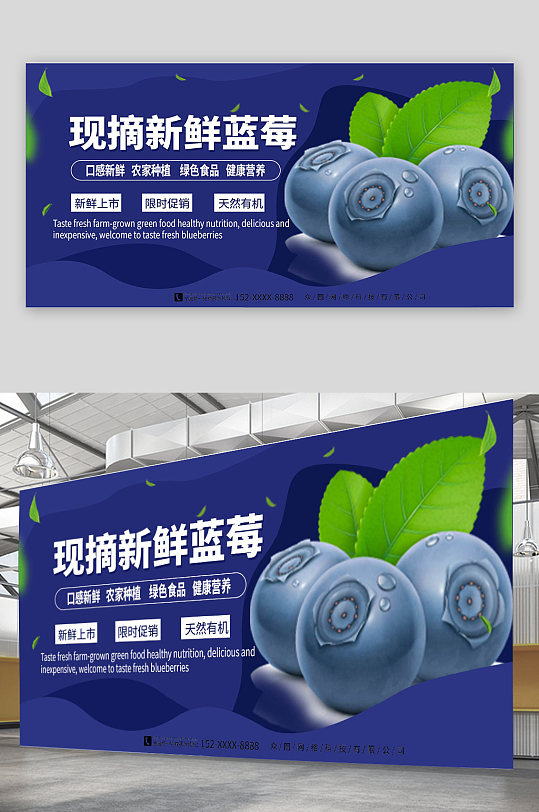 现摘新鲜蓝莓水果店促销宣传展板