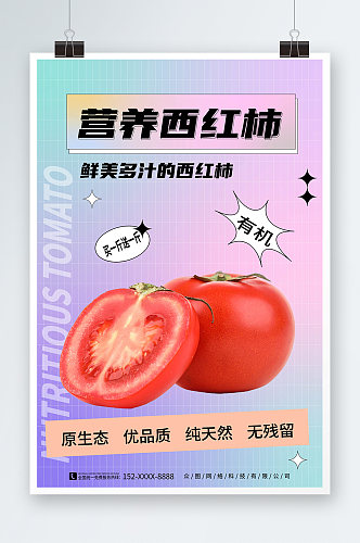 弥散风有机番茄西红柿蔬果海报