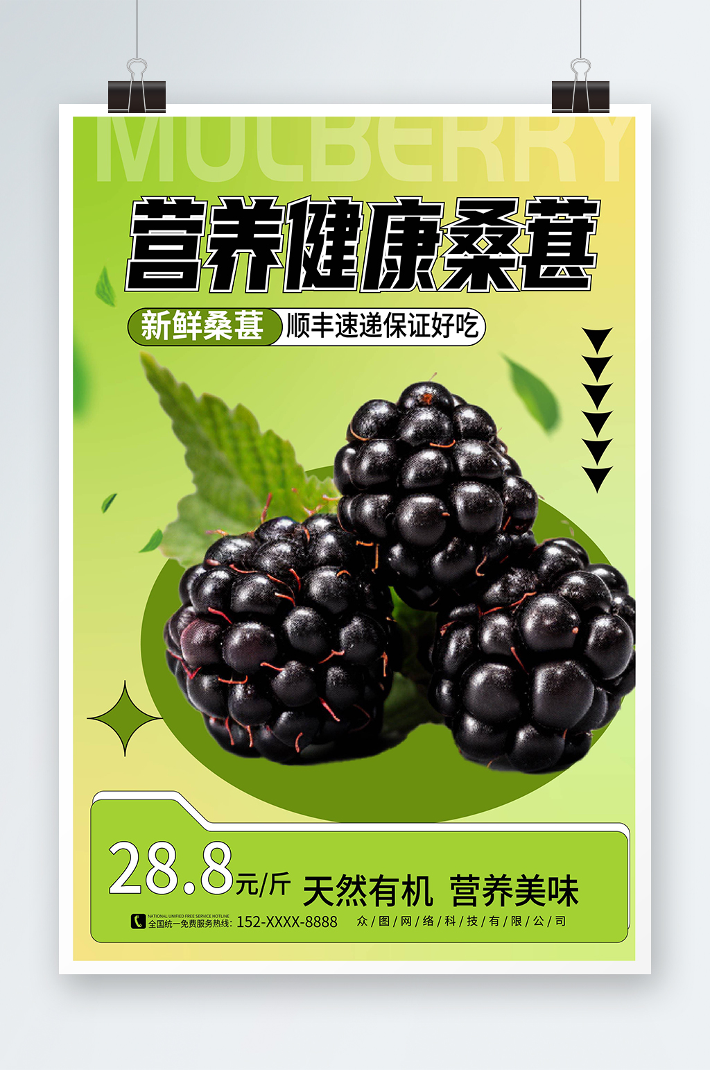 弥散风桑葚果园水果采摘促销海报素材
