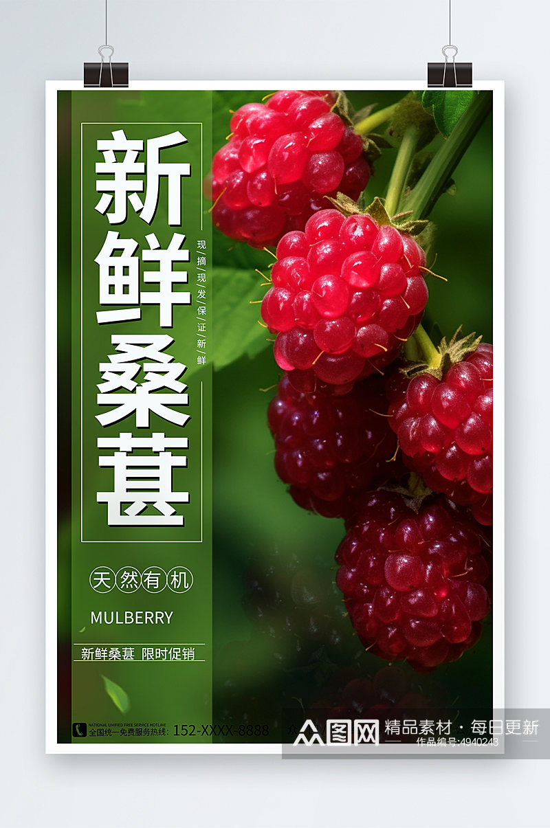 简约风桑葚水果促销海报素材